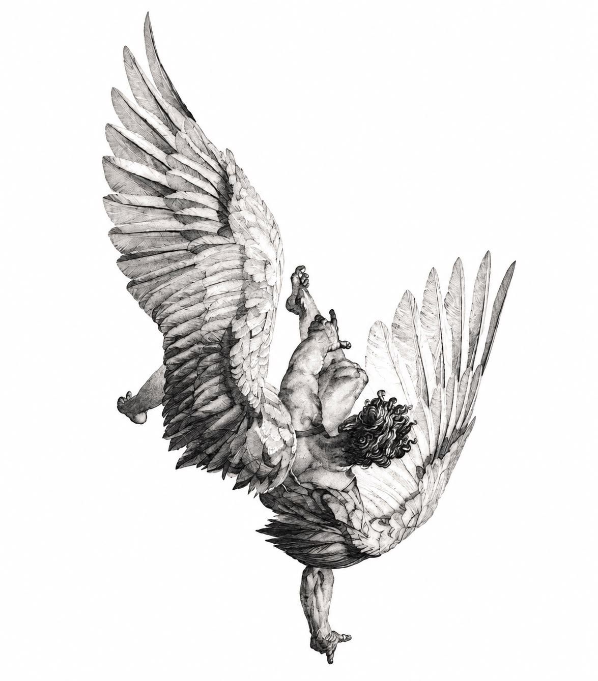 Ink drawing of Icarus falling with his wings spread